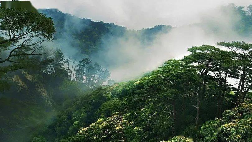 【保密课堂】别大意!U盘随意使用,小心引发泄密危机