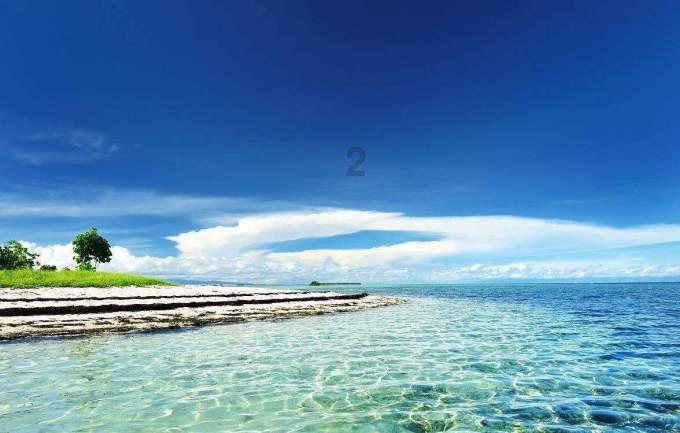 大老虎在水里泡澡,还抱住球防止自己沉下去