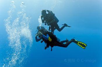浪浪全身被洒柏油连医生都束手无策,他们不放弃决定自己动手洗