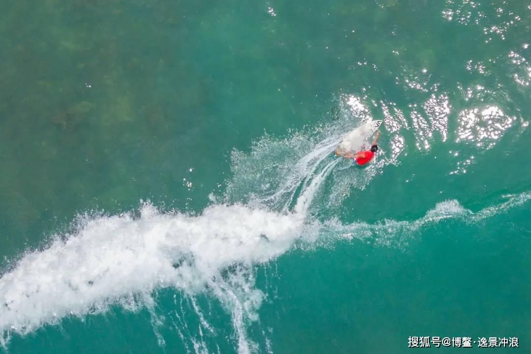 春雨直播app