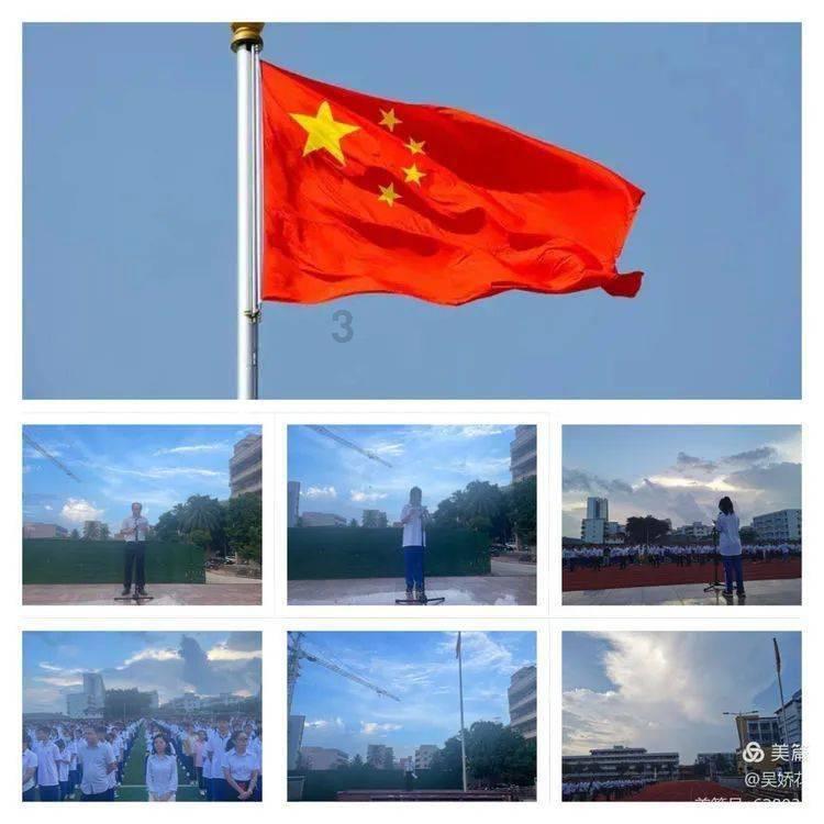动物帮帮忙保卫家园