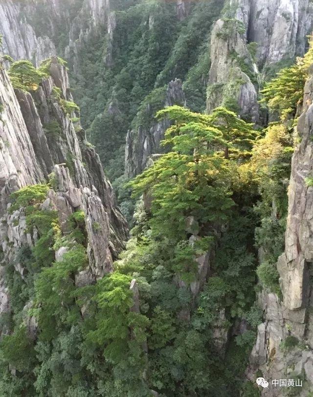 动物帮帮忙保卫家园